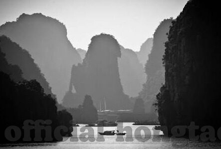 大象传媒污破解版-大象传媒的数字迷宫与内容创作的边界