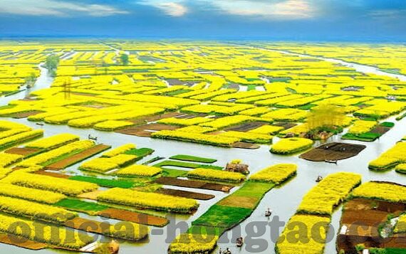 国产麻豆剧传媒精品国产av蜜桃-探索国产麻豆剧传媒精品，国产 AV 蜜桃的独特魅力