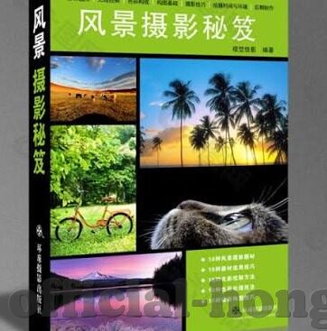 果冻传媒一二三区麻豆-探索果冻传媒一二三区的麻豆文化