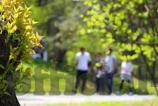 麻豆亲热视频-警醒社会的隐秘之痛，麻豆亲热视频的幕后真相