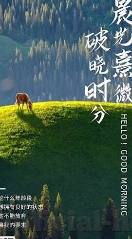 糖心app账号凭证-用心之选，解锁糖心app的高级体验之旅