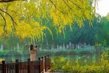 糖心vlogapp官方入口-题为糖心Vlog APP全新体验之旅的奇妙探索