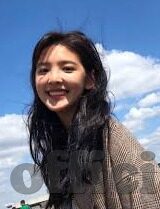 外国成人免费视频-探索成人内容教育的边界，理性视角下的信息获取与引导
